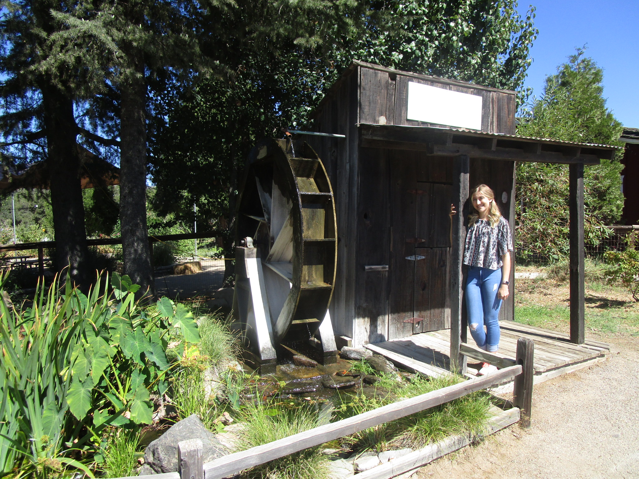 20151002041449_IMG_0947