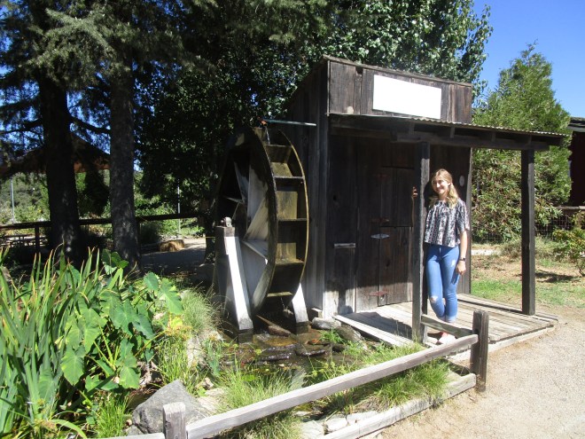 20151002041449_IMG_0947