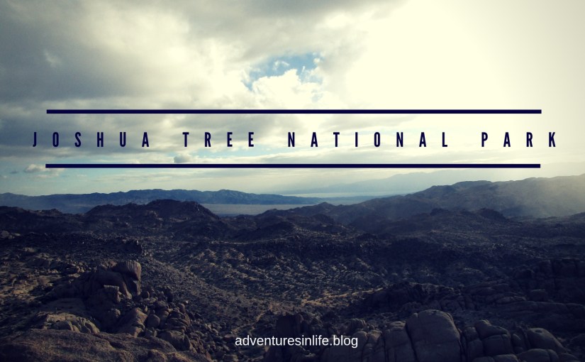 Joshua Tree National&nbsp;Park