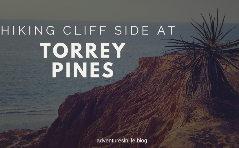 Hiking Cliff Side at Torrey&nbsp;Pines