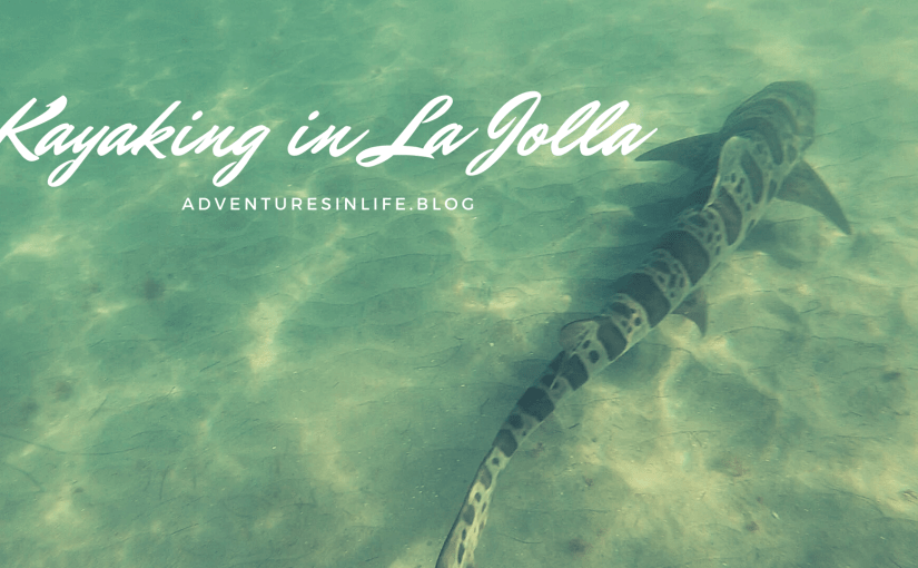 Kayaking in La Jolla,&nbsp;CA